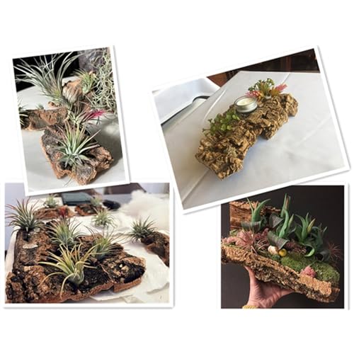 4 PCS Bark Background Natural Cork Backdrop Terrarium Aquarium Fish Tank Bark Reptile Tank Backdrop Spider Lizard Gecko Chameleon Pet