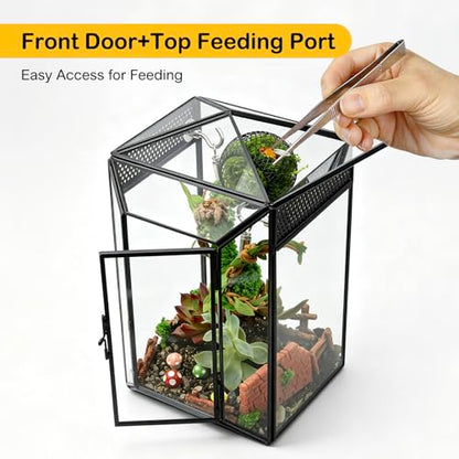 Glass Jumping Spider Enclosure Kit,Escape Proof Gothic Spider Tank | Fence Kits Terrarium Desktop Display Habitat for Jumping Spiders,Arboreal Tarantulas,Critter Keeper(No Plants)
