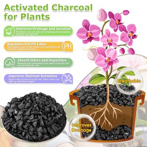 Legigo 8QT All Natural Horticultural Charcoal- Activated Hardwood Plant Charcoal for Soil Amendment, Conditioning Bonsai Soil, Succulent Soil, Terrarium Supplies, Indoor Plant Potting Soil - color: 8 QT