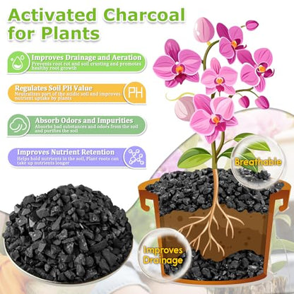 Legigo 8QT All Natural Horticultural Charcoal- Activated Hardwood Plant Charcoal for Soil Amendment, Conditioning Bonsai Soil, Succulent Soil, Terrarium Supplies, Indoor Plant Potting Soil - color: 8 QT
