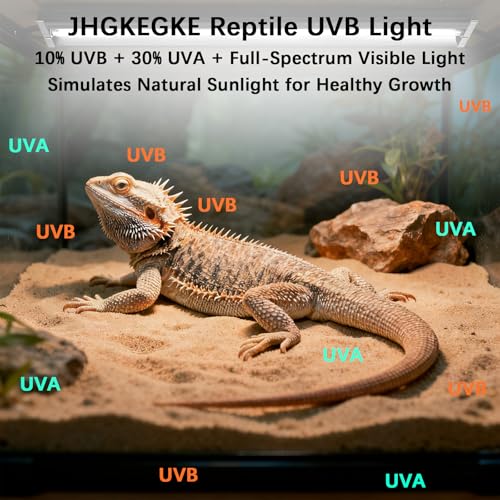 T8 UVB Reptile Light Fixture HO UVB Bulb Lighting Combo Kit, 10.0 UVB Light for Reptiles Terrarium Hood UVA UVB Desert Lamp for Bearded Dragon Turtle Tank (T8 15W 18Inch) - size: 18Inch
