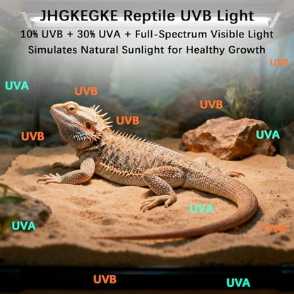 T8 UVB Reptile Light Fixture HO UVB Bulb Lighting Combo Kit, 10.0 UVB Light for Reptiles Terrarium Hood UVA UVB Desert Lamp for Bearded Dragon Turtle Tank (T8 20W 24Inch) - size: 24Inch