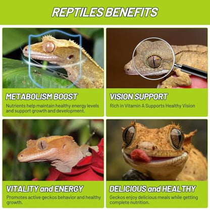 Crested Gecko Food Insect Puree, Banana Paste Reptile Food Made with Fresh Insects Gecko Food Complete Diet 2.82oz