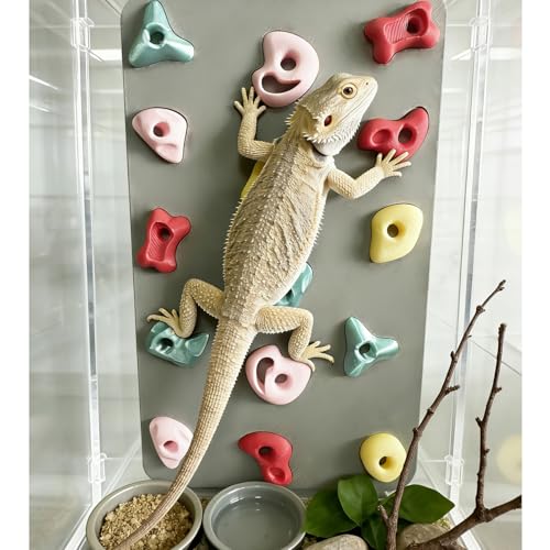 3D Reptile Climbing Wall, Natural Textured Habitat Decor for Bearded Dragons, Leopard Geckos, Lizards, Snakes, Frogs & Amphibians – Terrarium & Paludarium Tank Accessories