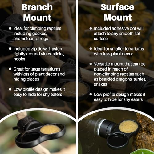Pangea Microdish Kit for Micro Gecko Food, Mini Water Bowl for Tiny Reptiles and Other Small Pets, Magnetic Attachment Dots Included 1.25in (XS Dual Surface Mount) - size: XS Dual Surface Mount