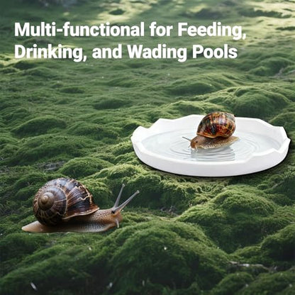 2 Pack Snail Food and Water Bowl，atural Design Food Bowl for Pet Snails, Garden Snails Pet Land Snail Supplies(White) - color: white