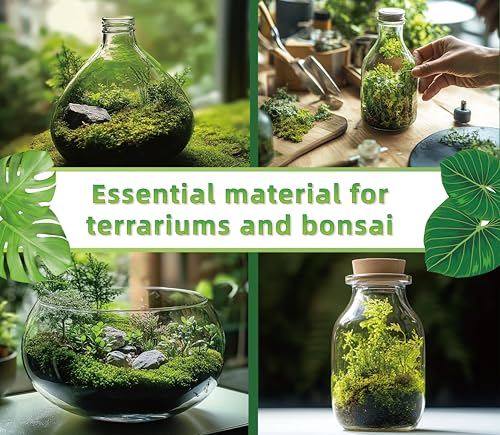 LUCKYRUNES Live Moss for Terrarium Bedding & Reptile Enclosures | Moisture-Holding Layer, Humid Hide Accent, Forest-Floor Look, Easy to Trim, For Frogs, Geckos, Turtles, Snakes