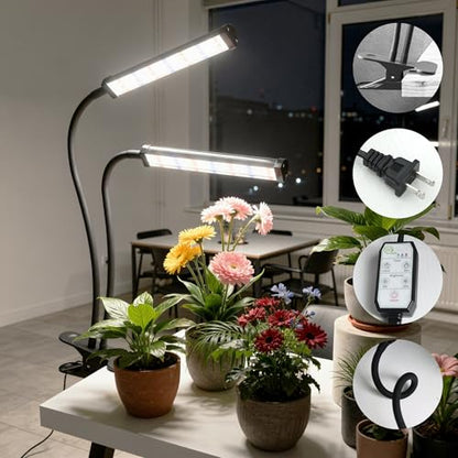 GooingTop Grow Light 100W 6000K, Super Bright White Desktop Clip Plant Lamp for Seedlings Succulents Seeds Starting Indoor Plants Growing,Bendable Gooseneck & Timer 4 8 12 H - size: 100Watts