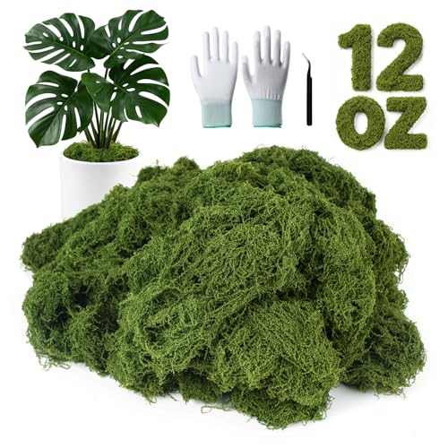 MGLIFEUL 12OZ Artificial Fake Moss for Crafts Plants Indoor with Non-Stick Gloves and Tweezers，Preserved Green Plant Faux Craft Moss Musgo for Fairy Garden Indoor Outdoor Home Decorating Model Making - color: Grass Green, size: 12oz