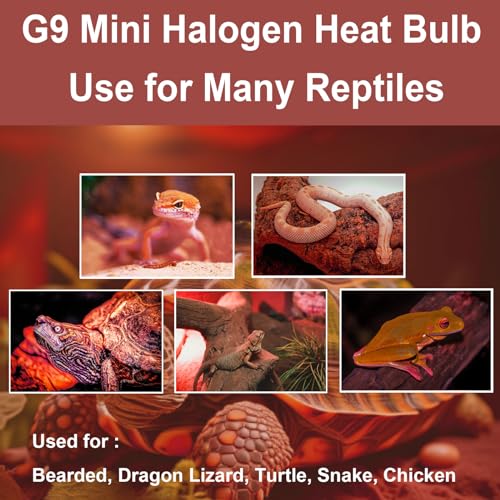 G9 Heat Lamp Bulbs for Reptile,Night Red, Mini Halogen Bulb 25W, Infrared Reptile Heat Lamp for Bearded Dragon Gecko Turtle Lizard, Pack of 3 - size: 25W-Pack of 3