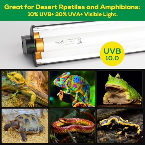 T5 UVB Reptile Light Fixture HO UVB Bulb Lighting Combo Kit, 10.0 UVB Light for Reptiles Terrarium Hood with 24W Reptile Light Bar UVA UVB Desert Lamp for Bearded Dragon Turtle Tank, 22Inch - size: T5-22Inch
