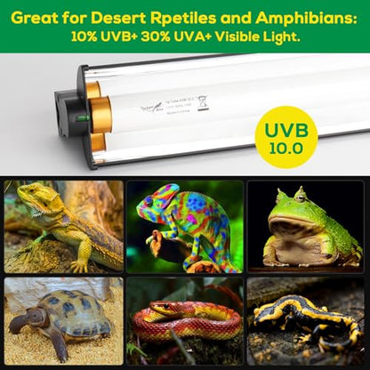 T5 UVB Reptile Light Fixture HO UVB Bulb Lighting Combo Kit, 10.0 UVB Light for Reptiles Terrarium Hood with 24W Reptile Light Bar UVA UVB Desert Lamp for Bearded Dragon Turtle Tank, 22Inch - size: T5-22Inch