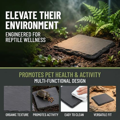 Turtle Basking Platform Slate Reptile Basking Slate Platform for Turtles 3.9 x 3.9 Inch Natural Stone Tortoise Bearded Dragon Lizard Chameleon Gecko Terrarium Accessory