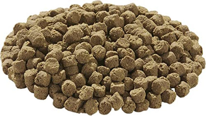 TetraFauna Hermit Crab Cakes 1.58 Ounces, Food Pellets For All Land Crabs, 100ml (16976) - size: 1.58 Ounce (Pack of 1)