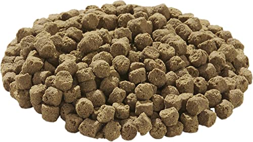 Tetra TetraFauna Hermit Crab Cakes 1.58 Ounces, Food Pellets for All Land Crabs, 100ml (16976) (Pack of 2) - size: 1.58 Ounce (Pack of 2)