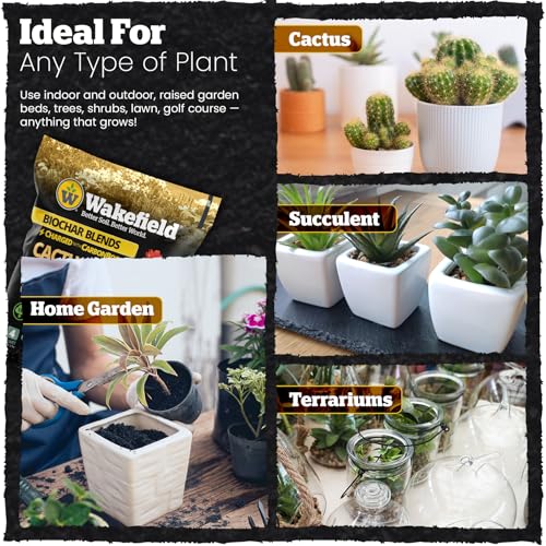 Wakefield Biochar Blend Potting Mix for Cactus & Succulent – Premium Potting Soil Blend with CarbonBoost Technology for Superior Drainage, Moisture Retention & Root Growth – 4 QT Organic Soil Mix - size: 4 Quart