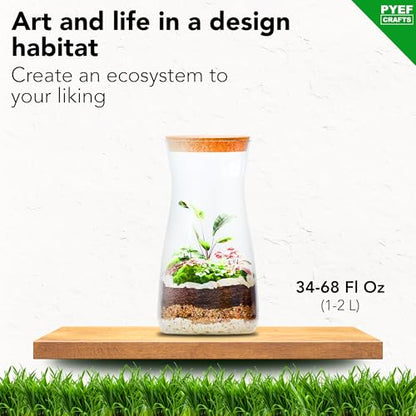 Terrarium Kit, Succulents & Indoor Plants Set DIY | Starter Pack for Any Plant – Build Your Own Ecosystem – Supplies for 64 fl oz Jar or Pot – (Jar & Plants Not Included)