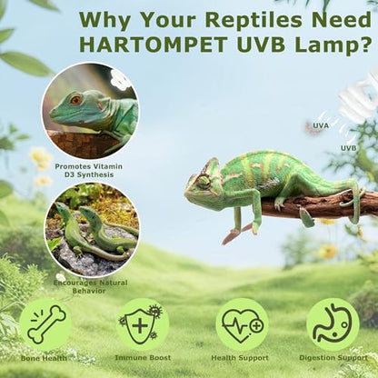 UVB 5.0 Reptile Light 26W – Compact Fluorescent Coil UVB Bulb for Chameleons, Iguanas, Turtles, Tropical & Rainforest Reptile Terrariums, Pet Habitat, UVB Lighting for Healthy Reptiles