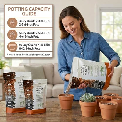 Molly's Succulent Mix - Premium Gritty Soilless Potting Mix for Succulents, Cactus and Bonsai - Contains Akadama, Hyuga, Bark Fines, Pumice, Lava Rock, Mycorrhizae 5 Dry Quarts - size: 5 Dry Quarts, style: Succulents & Cacti