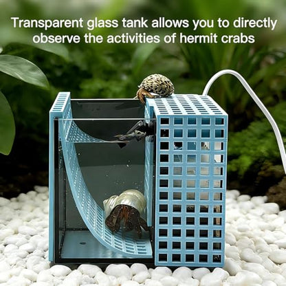 Mini Reptile Glass Terrarium Set, Hermit Crab Saltwater Glass Tank,with Filter Tank, Detachable Design, for Hermit Crabs, Small Saltwater Pets