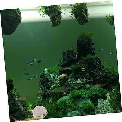 DOITOOL 2pcs Fish Tank Skull Decorations Resin Skull Ornaments Aquarium Landscaping Accessories Skull Props for Reptiles Habitat