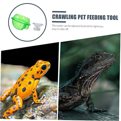 FOMIYES 4pcs Magnetic Reptile Food Feeder Hanging Gecko Feeder Suction Cup Easy Clean Turtle Feeding Tray