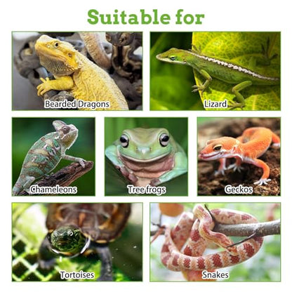 PINVNBY 5 PCS Bearded Dragon Hammock, Flexible Jungle Climber Reptile Vines Terrarium Decor Bearded Dragon Tank Accessories for Climbing, Chameleon, Lizards, Gecko, Snakes, Crested Gecko - size: 5 PCS