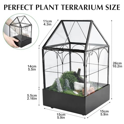 HighFree Glass Terrarium with Metal Tray, Glass Greenhouse Terrarium Kit for Succulents, Cacti, Snails, Spiders, and Miniature Reptiles, Black (Small-5.9" L x 5.9" W x 10.2" H) - size: Small-5.9"L x 5.9"W x 10.2"H