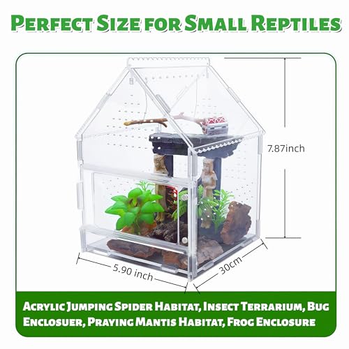 Acrylic Jumping Spider Enclosure with Magnetic Front Door - 360° View Reptile Terrarium for Tarantulas, Insects Hermit Crab - Includes Hanging Beam & Escape-Proof Ventilation (7.87x5.9x5.9 Inch)