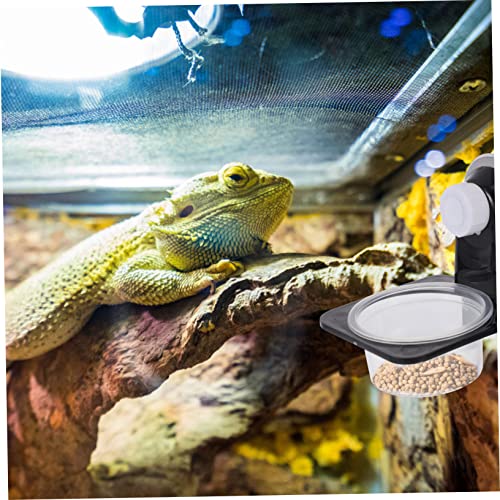 Toddmomy Reptile Feeding and Drinking Bowl Durable Worm Container with Suction Cup for Easy Feeding of Geckos Tortoises and Other Pets Compact Design for Space-Saving Use