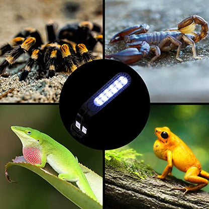 REPTI ZOO 5W Reptile Terrarium Light Fixture, Day and Night LED Clip Light for Reptile Tank, Full Spectrum White Bule Red Lights, 7 Light Modes Clamp Lamp