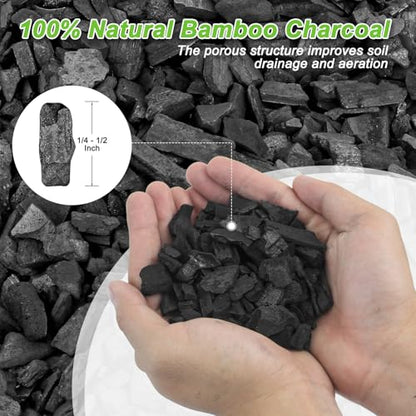 3 Quarts Horticultural Charcoal for Plants-Plant Charcoal Soil Amendment for Potting Indoor Plants, Succulent, Paphiopedilum, Bonsai, Terrarium,and Gardening - size: 3 Quarts