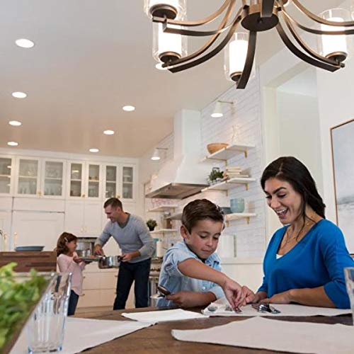 Lutron Skylark LED+ Dimmer Switch for Dimmable LED, Lutron Dimmer Switch For Halogen and Incandescent Bulbs, 150W/Single-Pole or 3-Way, SCL-153P-BR, Brown - color: Brown