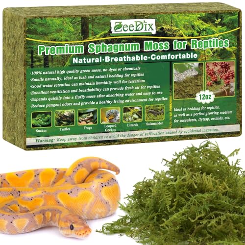 ZeeDix 0.75 lb Sphagnum Moss for Reptiles | 20 qt Reptile Bedding substrate Tank Accessories Terrarium Moss, Green Forest Moss for Leopards Geckos Snakes Turtles Frogs - color: 12oz