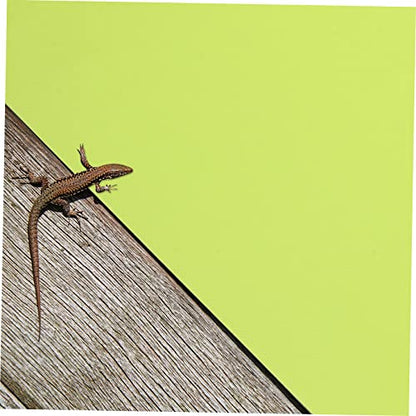 KESYOO 2pcs Reptile Carpet Liner Terrarium Pad for Tortoise and Lizard Habitats Non-Tearing Design Comfortable Substrate Mat for Reptiles - size: 150X45CM