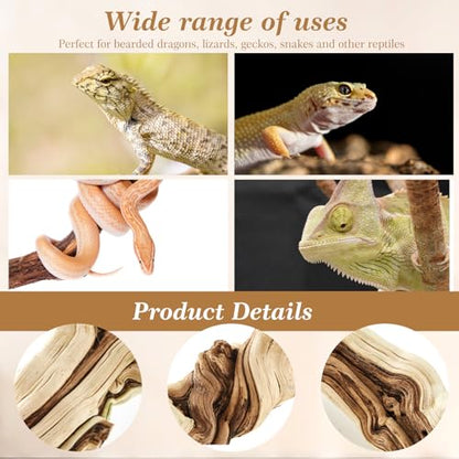 Janinka 10-12" Length Large Wood Reptile Branch for Bearded Dragon Driftwood Reptile Climbing Habitat Decoration for Terrarium Tree Trunk Ornament Gecko Frog Chameleon Spider - size: 10-12"
