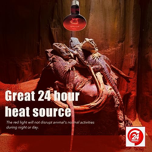 Dual Dome and Infrared Basking Light, Reptile Light Fixture and Red Heat Lamp Bulb for Reptiles Bearded Dragon Lizard
