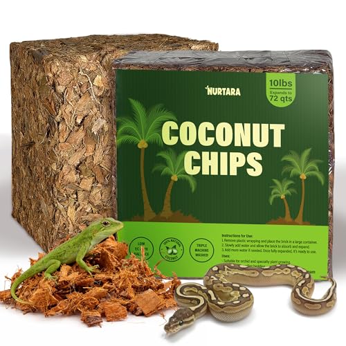Coconut Chips Substrate 10 Lbs | Reptile Bedding for Snakes, Ball Python, Bearded Dragon, Tortoise, Gecko, Lizard, Frog | Odor Absorbing | Coconut Chips for Plants and Orchid Bark Mulch - size: 10 Lbs (Pack of 1)
