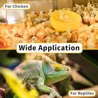 250 Watt Heat Lamp Bulbs, Clear Incandescent Heating Outdoor Light Bulb for Bathroom, Shower, Chickens, Chicks, Ceiling, Reptile, Food, Plants, Medium E26 Base - 6 Pack - size: 6 Pack
