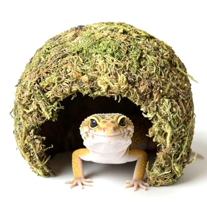 Snake Hide & Reptile Cave - Bearded Dragon Accessories & Leopard Gecko Tank Accessories - Coconut Moss Terrarium Decor & Reptile Supplies for Amphibian Habitats