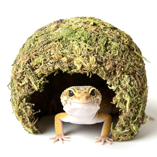 Snake Hide & Reptile Cave - Bearded Dragon Accessories & Leopard Gecko Tank Accessories - Coconut Moss Terrarium Decor & Reptile Supplies for Amphibian Habitats