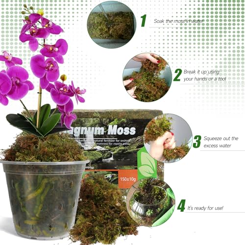 Doter Dried Forest Moss for Plants (10 qt / 2 pcs), Sphagnum Potting Moss for Various Plants, Including Orchids, Carnivorous Plants, Succulents, Garden Flowers, and Reptiles