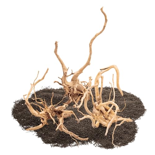 SubstrateSource Natural Aquarium Driftwood for Fish Tanks, Terrarium, Reptile Habitats, Freshwater Aquatic Decor - Small to Large Pieces (Spiderwood (Small) 4-6", 1 Piece) - size: 1 Piece