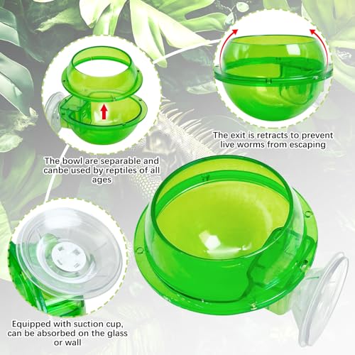 2 Pcs Chameleon Bowl (2.1" D*2.3" H) &2 Pcs Reptile Carpet (20" L*12" W)