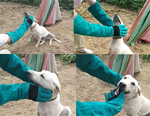 YBB Animal Handling Anti-bite/Scratch Gloves for Dog Cat Bird Parrot Pet (Green) - color: Dark Green