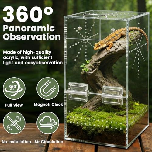 Jumping Spider Enclosure, 6"×6"×11.8" Escape Proof Transparent Acrylic Enclosure, Magnetic Door Acrylic Tarantula Terrarium with Feeding Port, Praying Mantis Terrariums, Arboreal Tarantula Cribs