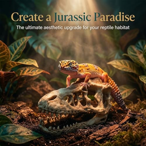 Anxingo Reptile Rock Reptile Cave Hideout for Snakes/Geckos/Lizards/Turtles and Other Amphibians, with Dinosaur Skull (Large) - size: L