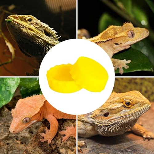 hhfvvda12 PCS Reptile Feeding Cup, Colorful Crested Gecko Food Bowl, Snake Water Dish, Bearded Dragon Terrarium Accessories