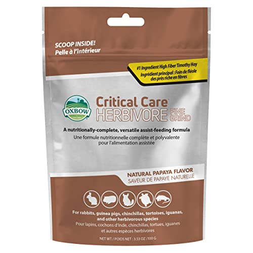 Oxbow Critical Care Herbivore, Fine Grind, Emergency Rabbit & Guinea Pig Food, Made with Timothy Hay, Natural Papaya Flavor, Assist Feeding Formula for Pets, 100 gram bag - size: 3.53 Ounce (Pack of 1)