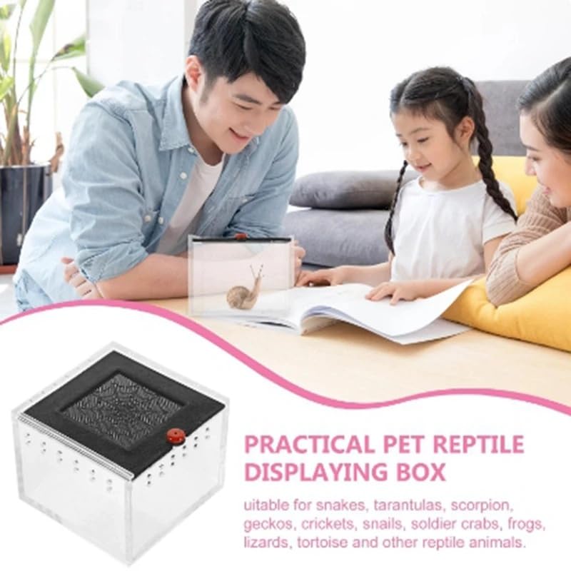 3.5x2.5 inch Pet Spider Box Reptile Crawling Pet Feeding Lizard Silkworm Baby Scorpion Unicorn Beetle Insect House Black Acrylic Box